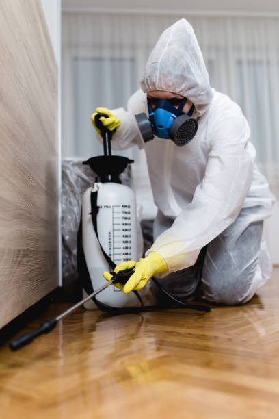 Pest Control for Hotels in Hampton, IL